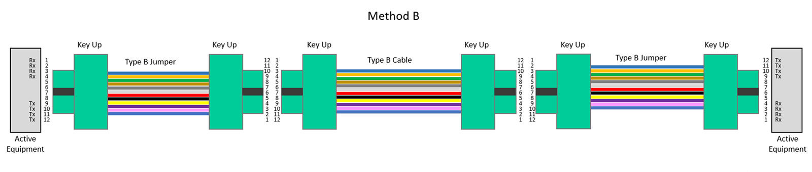 Type B trunk cables